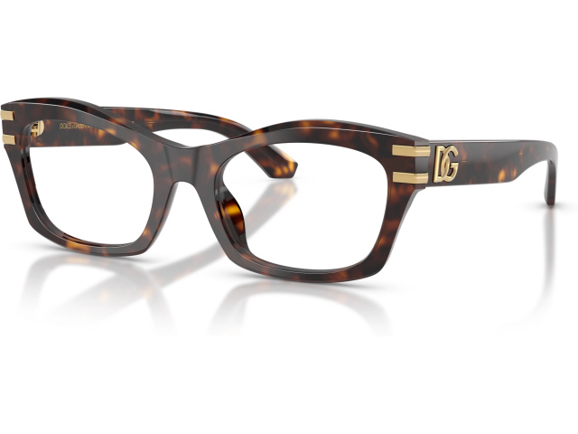 Dolce & Gabbana DG3420 502 Tortoise