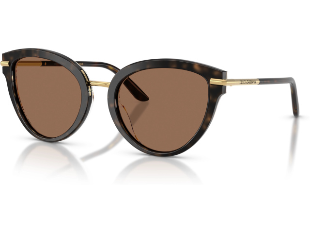 Dolce & Gabbana DG4492 321713 Tortoise