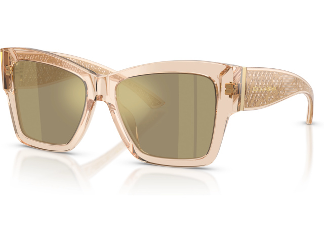 Dolce & Gabbana DG4493 343203 Brown