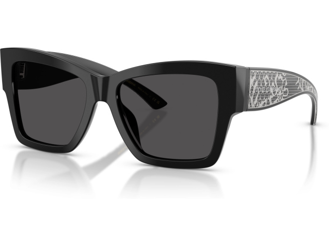 Dolce & Gabbana DG4493 501/87 Black