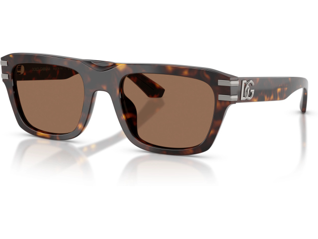 Dolce & Gabbana DG4496 502/73 Tortoise