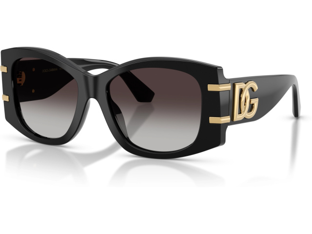 Dolce & Gabbana DG4501 501/8G Black