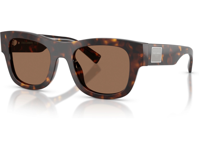 Dolce & Gabbana DG4509 502/73 Tortoise