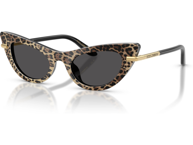 Dolce & Gabbana DX4008 316397 Brown