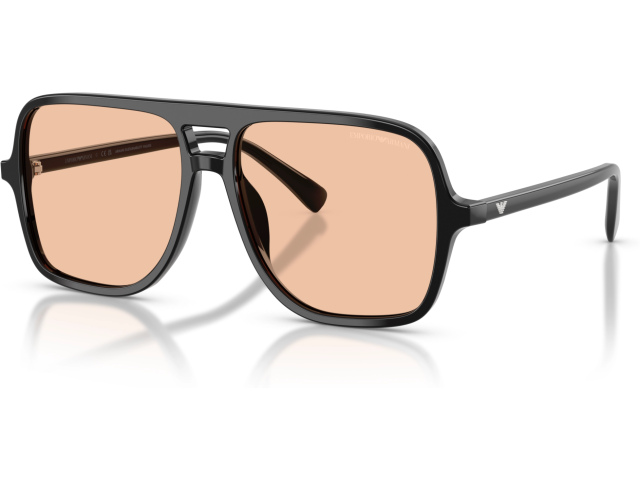 Emporio Armani EA4252U 501793 Black