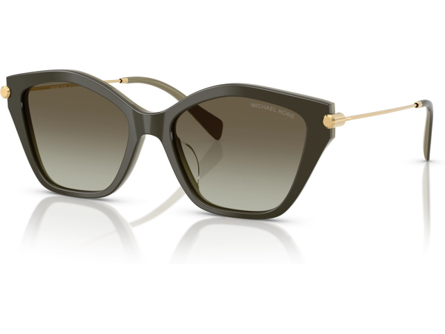 Michael Kors CATSKILLS MK2246U 40193M Green