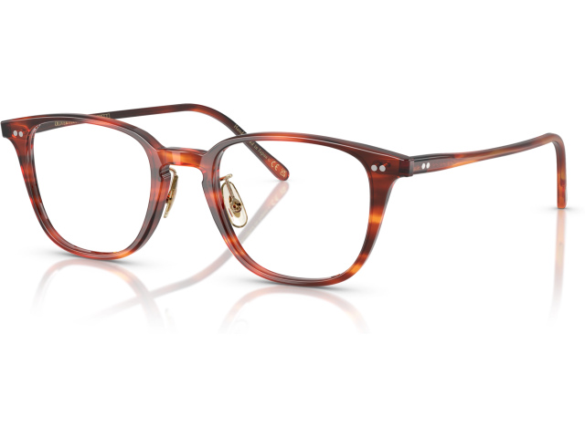 Oliver Peoples SOBEL OV5578 1799 Tortoise