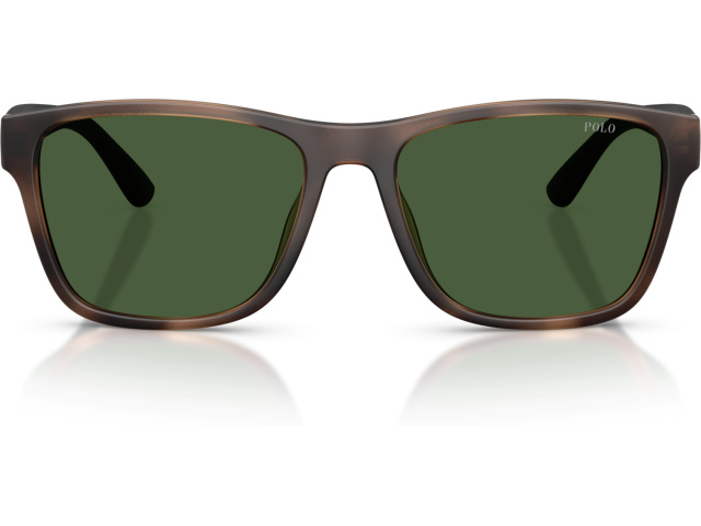Polo PH4229U 607071 Tortoise