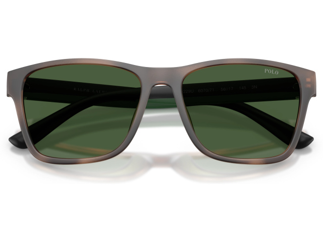 Polo PH4229U 607071 Tortoise