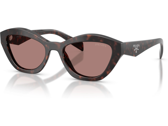 Prada PR A02S 17N60B Tortoise