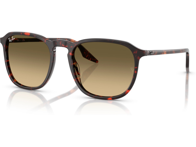 Ray-Ban RB2203 14290A Red