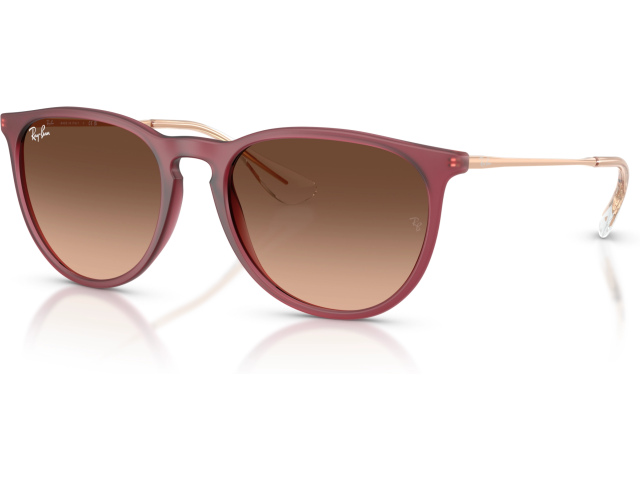 Ray-Ban ERIKA RB4171 6815A5 Violet