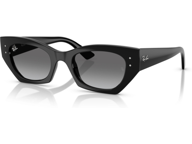 Ray-Ban ZENA RB4430 667711 Black