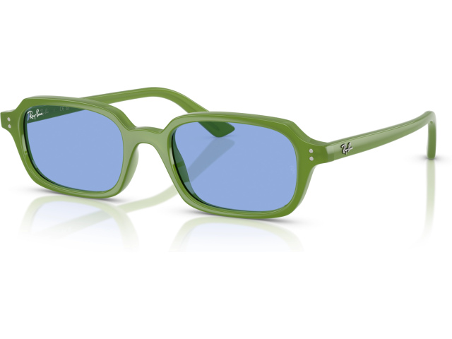 Ray-Ban ZURI RB4455 681080 Green
