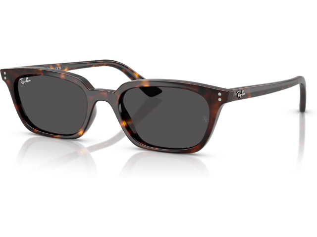 Ray-Ban ZAYA RB4456 135987 Tortoise