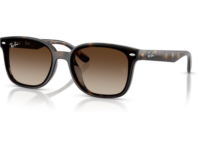 Ray-Ban RB4461D 710/13 Tortoise