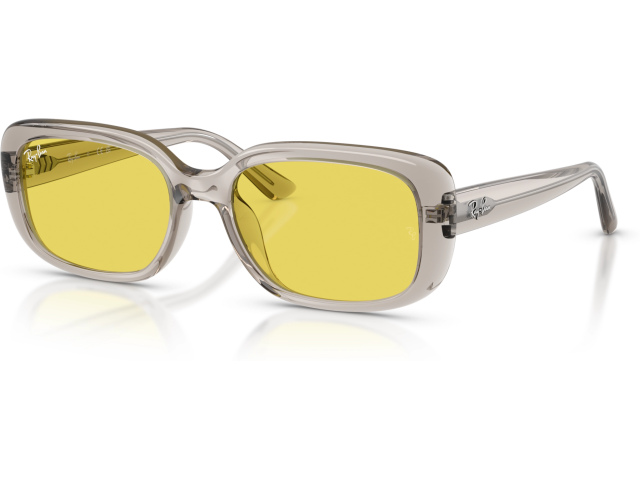 Ray-Ban RB4421D 681885 Brown