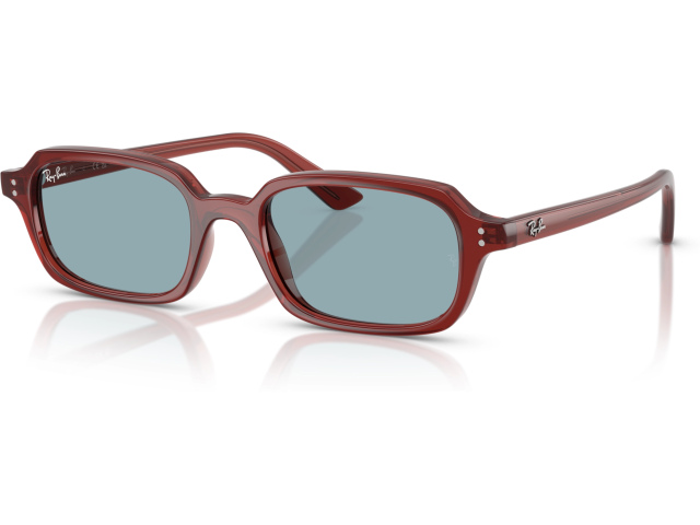 Ray-Ban ZURI RB4455 680980 Brown