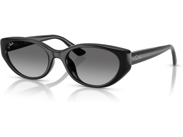 Ray-Ban RB4457D 667711 Black