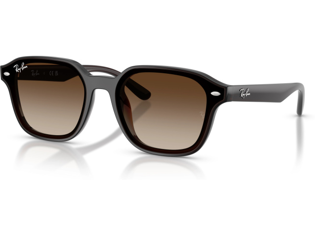 Ray-Ban RB4458D 714/13 Brown