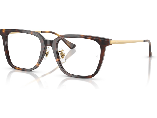 Ray-Ban RX5442D 2012 Tortoise