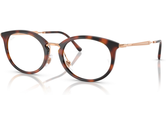 Ray-Ban RX7255 5687 Brown