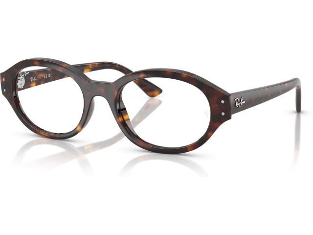 Ray-Ban SHILO RX7257 8320 Tortoise