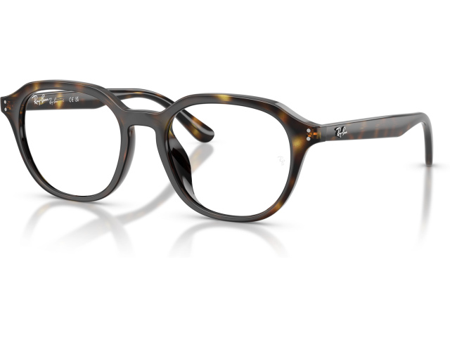 Ray-Ban RX7259D 2012 Tortoise