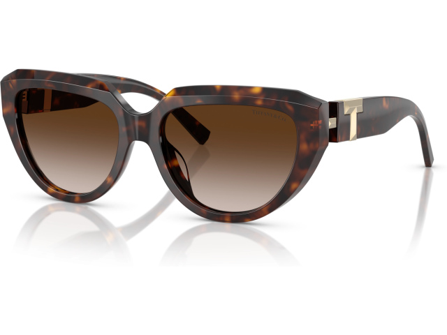 Tiffany TF4238U 80153B Tortoise