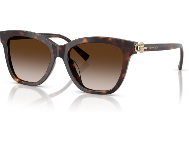 Tiffany TF4241D 80153B Tortoise