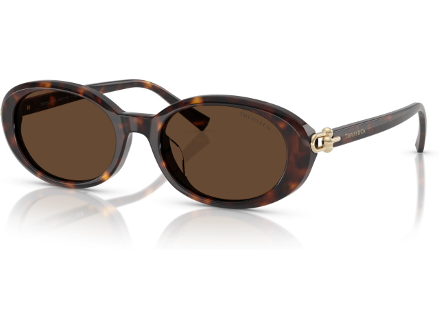Tiffany TF4242D 80153G Tortoise