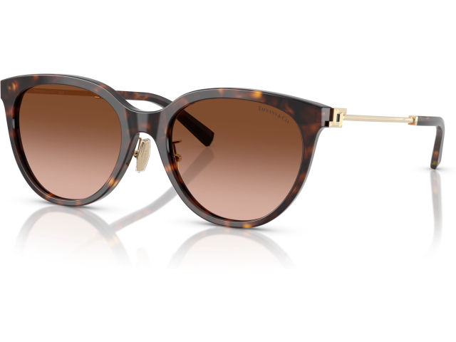 Tiffany TF4243D 80153B Tortoise