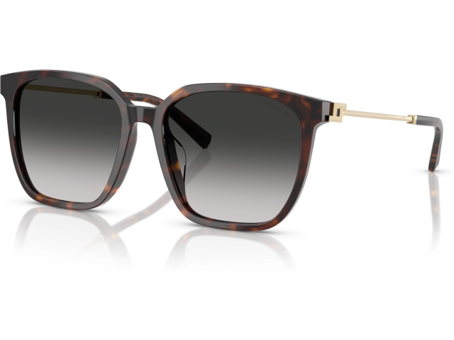 Tiffany TF4244D 80153C Tortoise