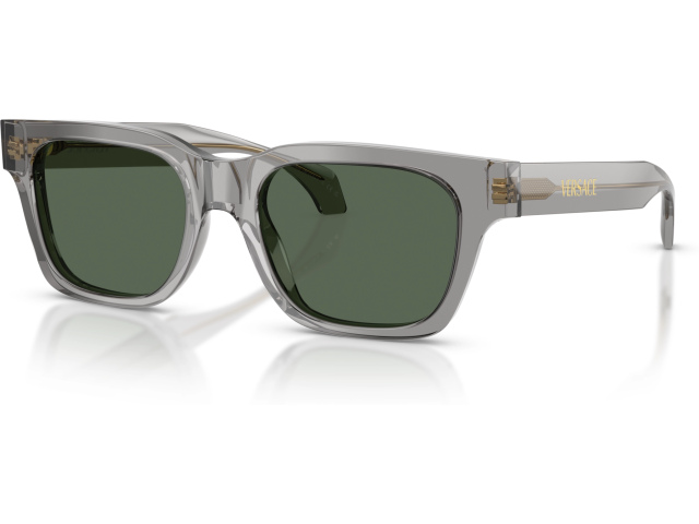 Versace VE4486 551071 Grey