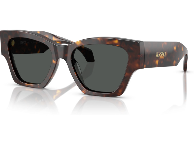 Versace VE4492U 108/87 Brown
