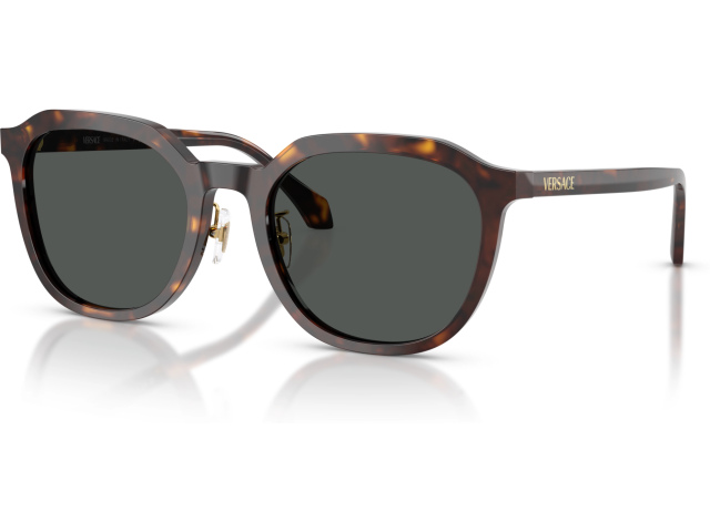 Versace VE4493D 108/87 Brown