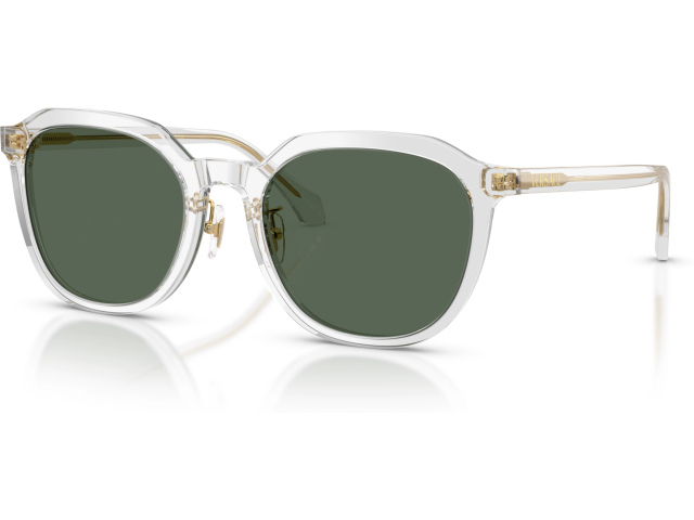 Versace VE4493D 551971 Grey