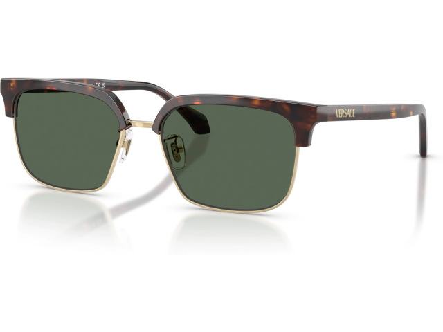 Versace VE4494D 108/71 Brown