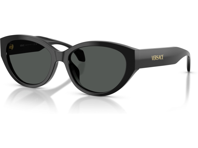 Versace VE4495D GB1/87 Black