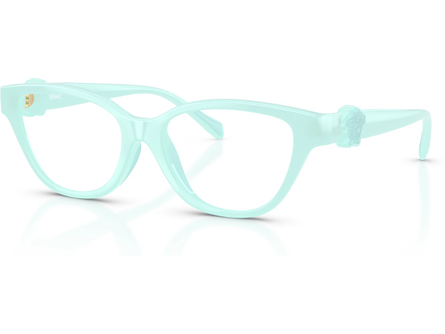 Versace VK3011U 5528 Blue