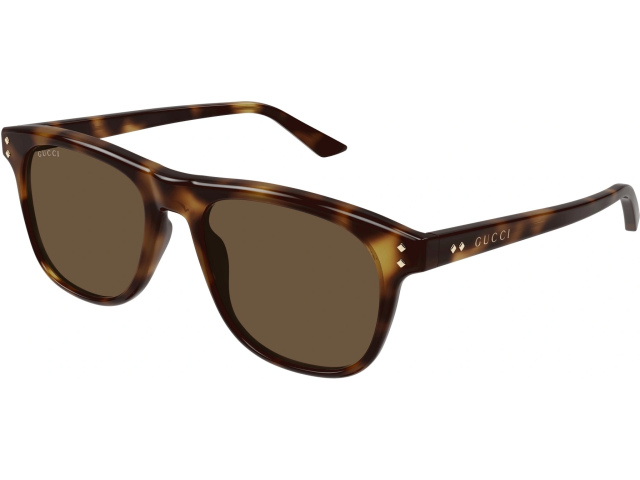 Gucci GG1893S-002 53  