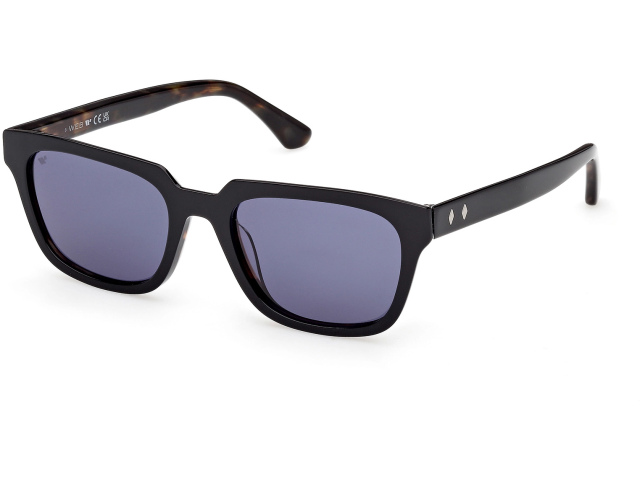 Web Eyewear WE 0391 05V 53